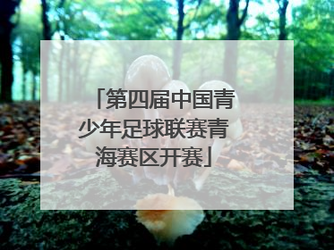 第四届中国青少年足球联赛青海赛区开赛