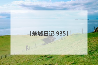 翁城日记 935