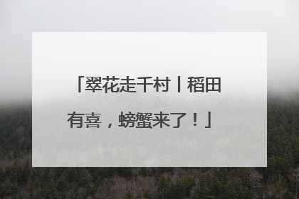 翠花走千村丨稻田有喜，螃蟹来了！