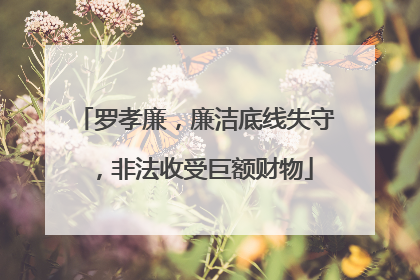 罗孝廉，廉洁底线失守，非法收受巨额财物