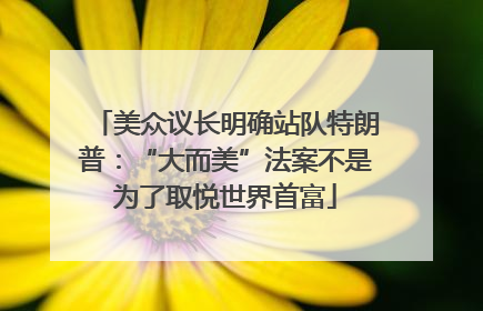 美众议长明确站队特朗普：“大而美”法案不是为了取悦世界首富