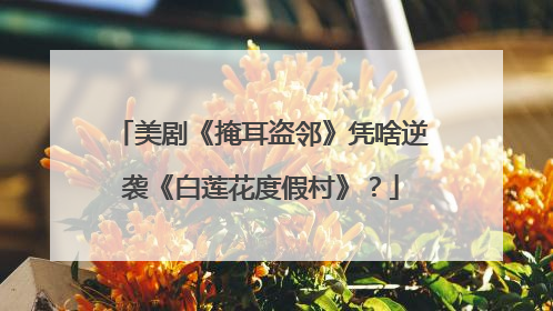 美剧《掩耳盗邻》凭啥逆袭《白莲花度假村》？