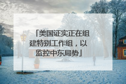 美国证实正在组建特别工作组，以监控中东局势