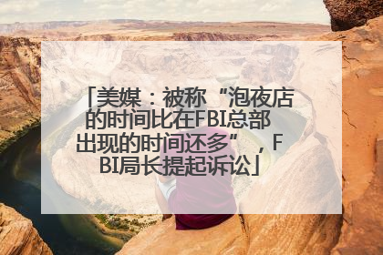 美媒：被称“泡夜店的时间比在FBI总部出现的时间还多”，FBI局长提起诉讼
