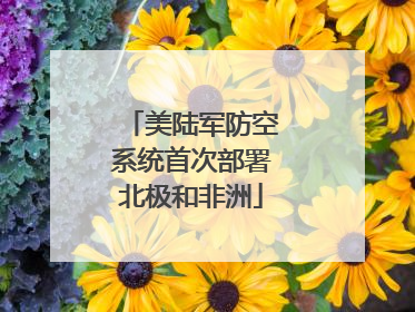 美陆军防空系统首次部署北极和非洲