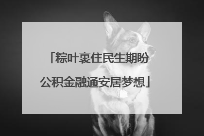 粽叶裹住民生期盼 公积金融通安居梦想