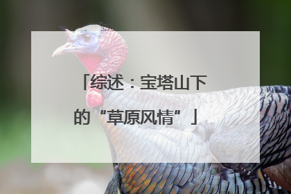 综述：宝塔山下的“草原风情”