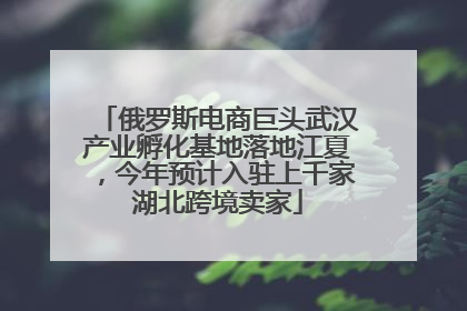 俄罗斯电商巨头武汉产业孵化基地落地江夏，今年预计入驻上千家湖北跨境卖家