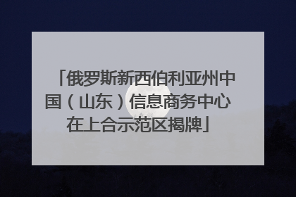 俄罗斯新西伯利亚州中国（山东）信息商务中心在上合示范区揭牌