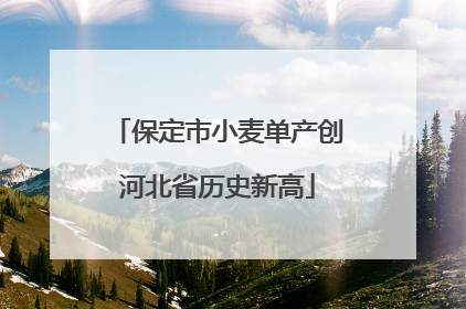 保定市小麦单产创河北省历史新高