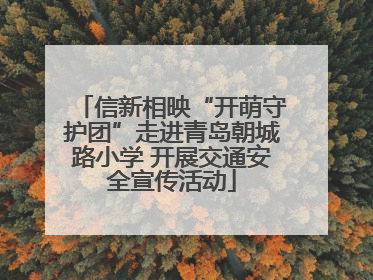 信新相映“开萌守护团”走进青岛朝城路小学 开展交通安全宣传活动