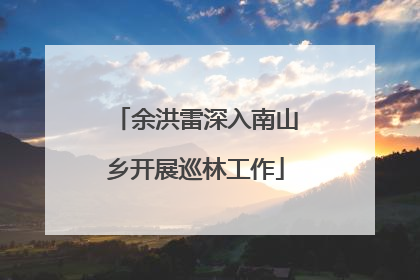 余洪雷深入南山乡开展巡林工作