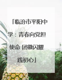 临汾市平阳中学：青春向党担使命 团徽闪耀践初心