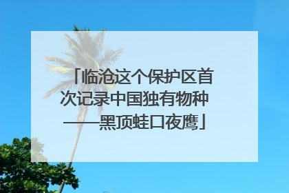 临沧这个保护区首次记录中国独有物种——黑顶蛙口夜鹰