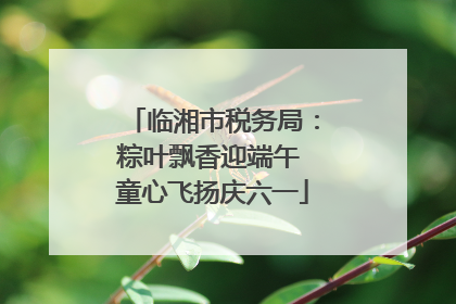 临湘市税务局：粽叶飘香迎端午 童心飞扬庆六一