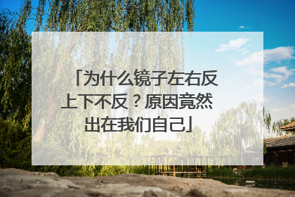 为什么镜子左右反上下不反？原因竟然出在我们自己