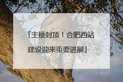 主楼封顶！合肥西站建设迎来重要进展