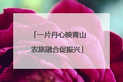 一片丹心映青山 农旅融合促振兴
