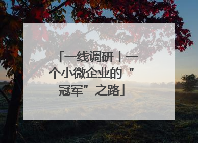 一线调研丨一个小微企业的“冠军”之路