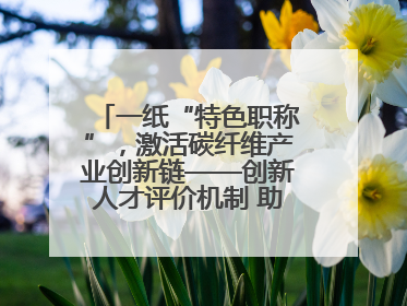 一纸“特色职称”，激活碳纤维产业创新链——创新人才评价机制 助推产业升级