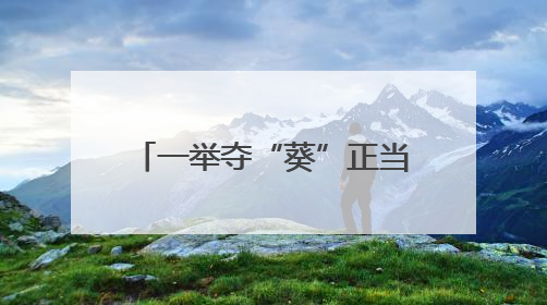 一举夺“葵”正当时——有一种叫云南的生活之365天