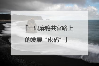 一只麻鸭共富路上的发展“密码”