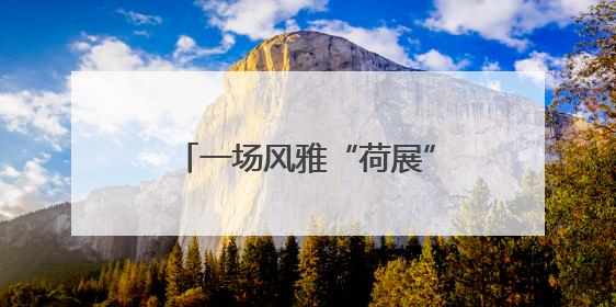一场风雅“荷展”，背后是相隔千里两地的渊源和令人感动的历史人文情怀