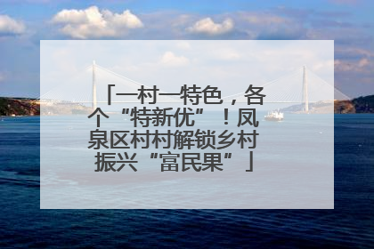 一村一特色，各个“特新优”！凤泉区村村解锁乡村振兴“富民果”