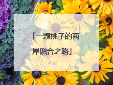 一颗桃子的两岸融合之路