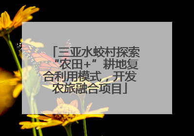 三亚水蛟村探索“农田+”耕地复合利用模式，开发农旅融合项目