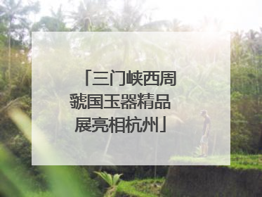 三门峡西周虢国玉器精品展亮相杭州