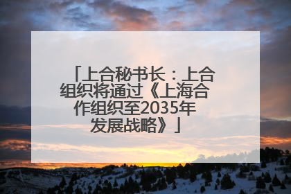 上合秘书长：上合组织将通过《上海合作组织至2035年发展战略》