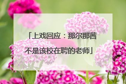 上戏回应：那尔那茜不是该校在聘的老师