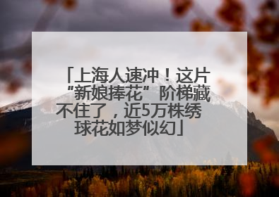 上海人速冲！这片“新娘捧花”阶梯藏不住了，近5万株绣球花如梦似幻