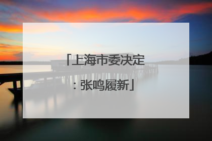 上海市委决定：张鸣履新
