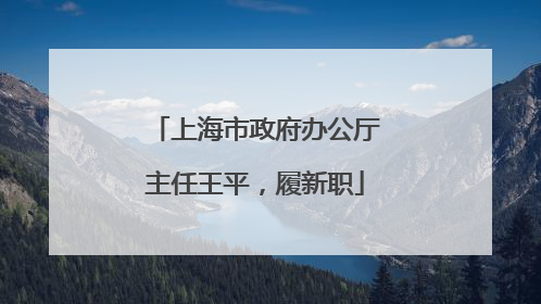 上海市政府办公厅主任王平，履新职