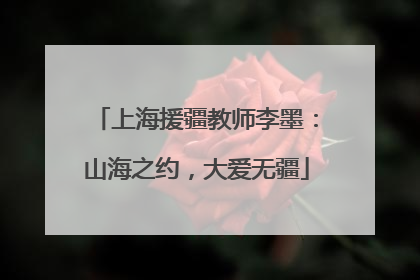 上海援疆教师李墨：山海之约，大爱无疆
