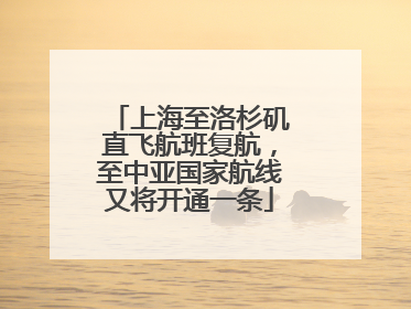 上海至洛杉矶直飞航班复航，至中亚国家航线又将开通一条