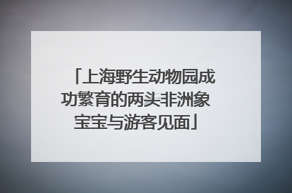 上海野生动物园成功繁育的两头非洲象宝宝与游客见面