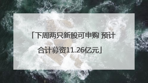 下周两只新股可申购 预计合计募资11.26亿元