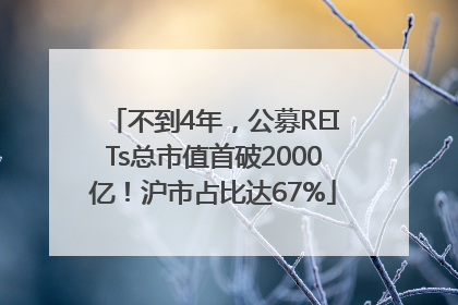不到4年，公募REITs总市值首破2000亿！沪市占比达67%
