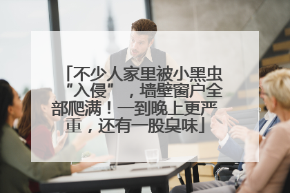 不少人家里被小黑虫“入侵”，墙壁窗户全部爬满！一到晚上更严重，还有一股臭味