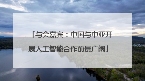 与会嘉宾：中国与中亚开展人工智能合作前景广阔