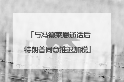 与冯德莱恩通话后 特朗普同意推迟加税