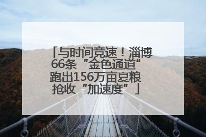 与时间竞速！淄博66条“金色通道”跑出156万亩夏粮抢收“加速度”
