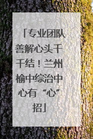 专业团队善解心头千千结！兰州榆中综治中心有“心”招
