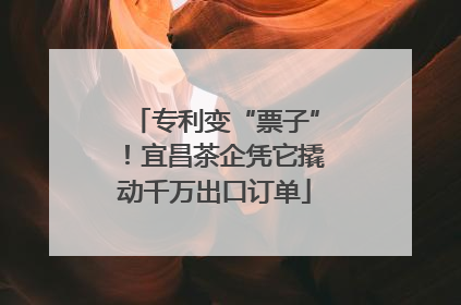 专利变“票子”！宜昌茶企凭它撬动千万出口订单