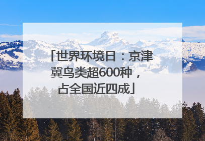世界环境日：京津冀鸟类超600种，占全国近四成