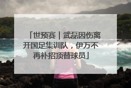 世预赛｜武磊因伤离开国足集训队，伊万不再补招顶替球员