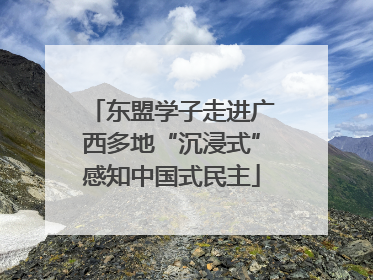 东盟学子走进广西多地“沉浸式”感知中国式民主